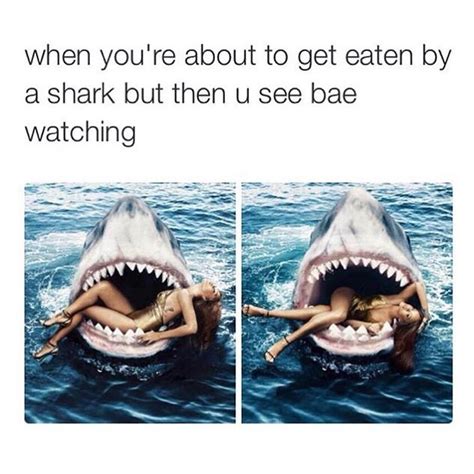 sharkbae fuck|Watch sharkbaee